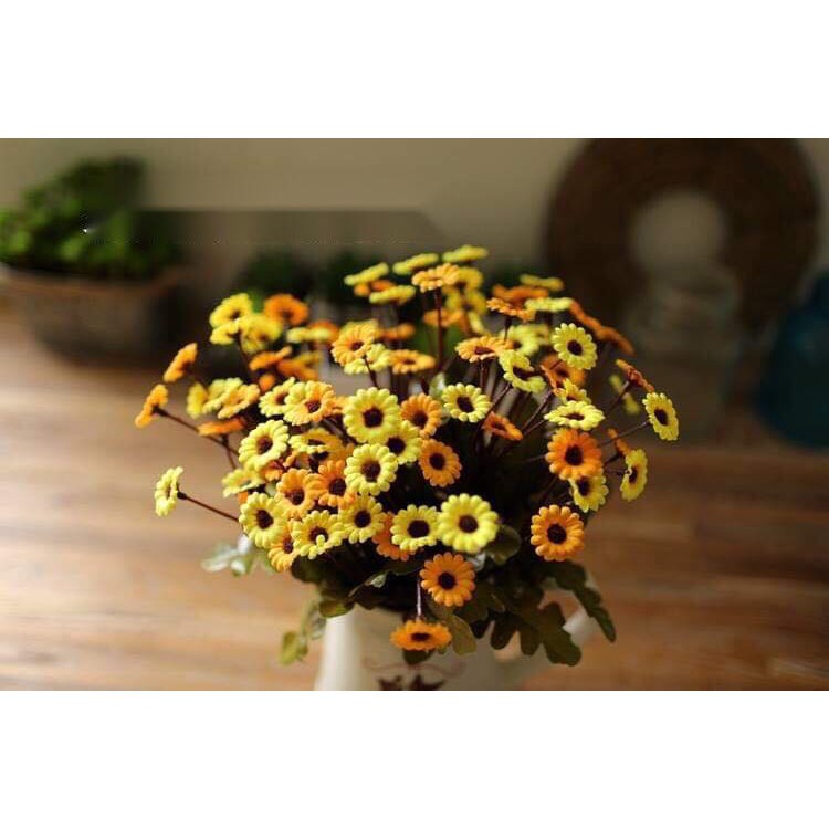 hoa cúc nhỏ