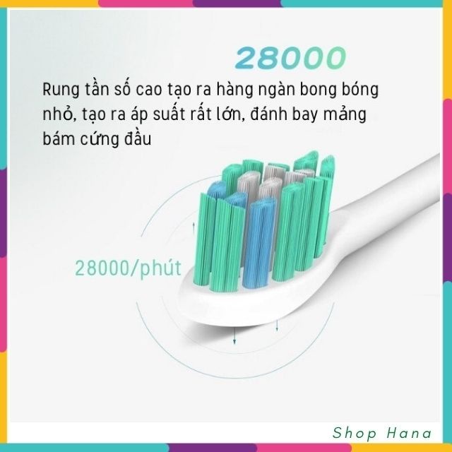 [Free Ship] Bàn Chải Đánh Răng Tự Động Sonic 5 Cấp độ với 4 đầu bàn chải làm sạch, làm sáng và làm trắng răng HNH017