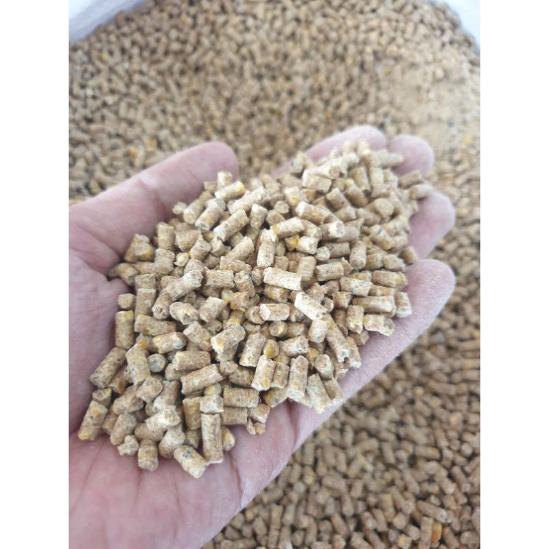 1KG Cám Cò C24 Thức Ăn Gà Mái Đẻ Thức Ăn Cho Gà Đẻ Cám Gà Đẻ Thức Ăn Cho Vịt Đẻ