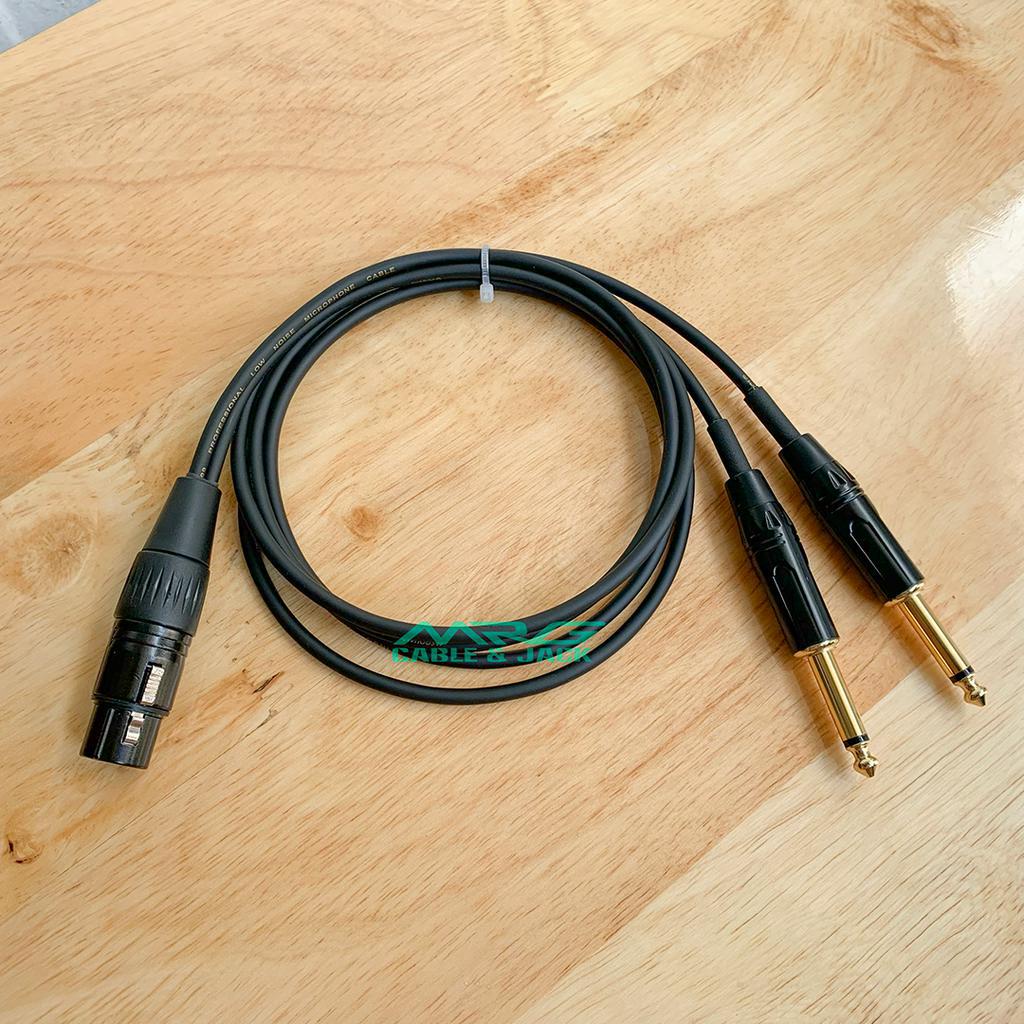 Dây Canon Cái Ra 2 Đầu Jack 6Ly mono, dài 0.5met và 1met, giá 1 dây.