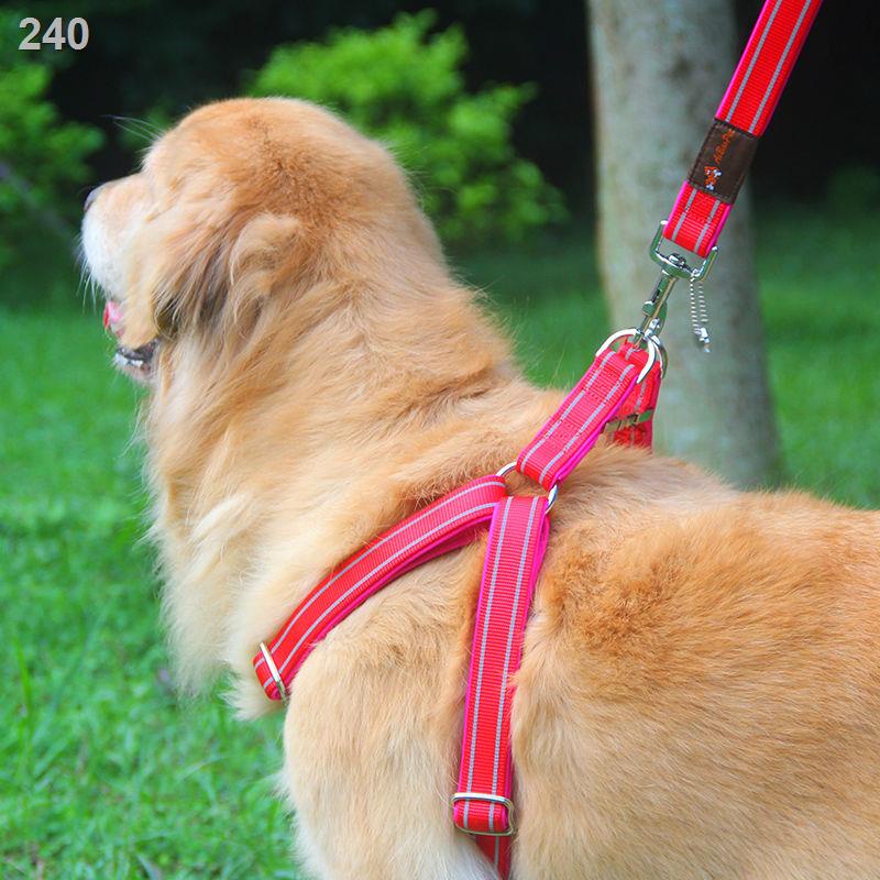 【bán chạy】Xích chó mạnh mẽ, dây xích, nịt, cho chó, săn lông vàng Samoyed, đồ dùng thú cưng vừa và lớn