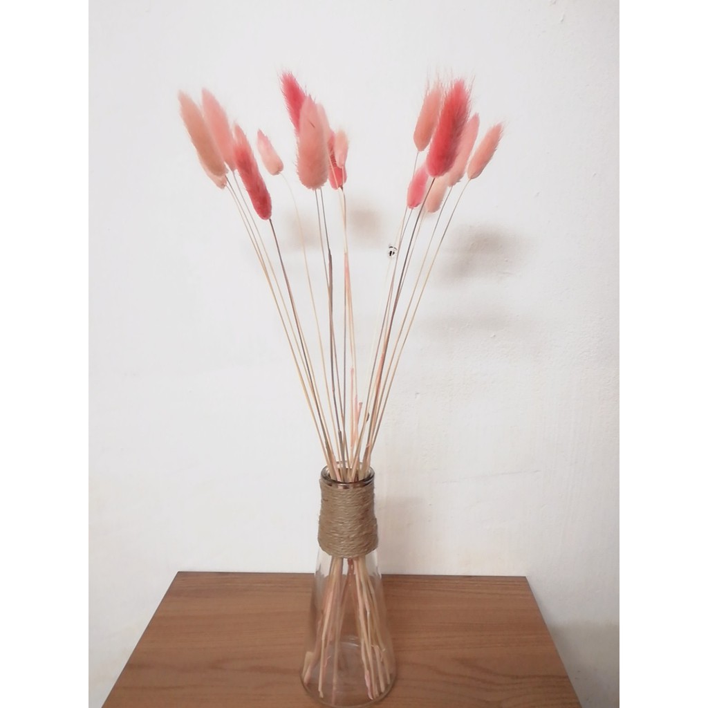 Bó Hoa khô Đuôi Thỏ siêu đáng yêu - Bông Bunny Tails - cỏ khô trang trí - Hoa khô decor