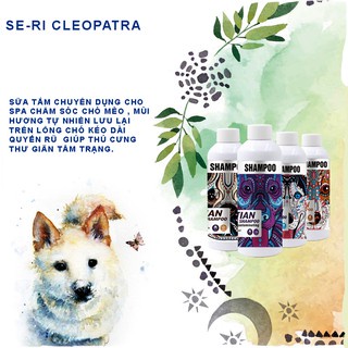 Sữa tắm chó mèo Sampoo dưỡng lông, ngừa bênh về da– Chiết xuất từ tinh dầu Ai Cập chất lượng cao_500ml