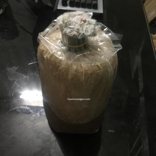 (Combo 05 Túi) Phôi Nấm Bào Ngư Xám