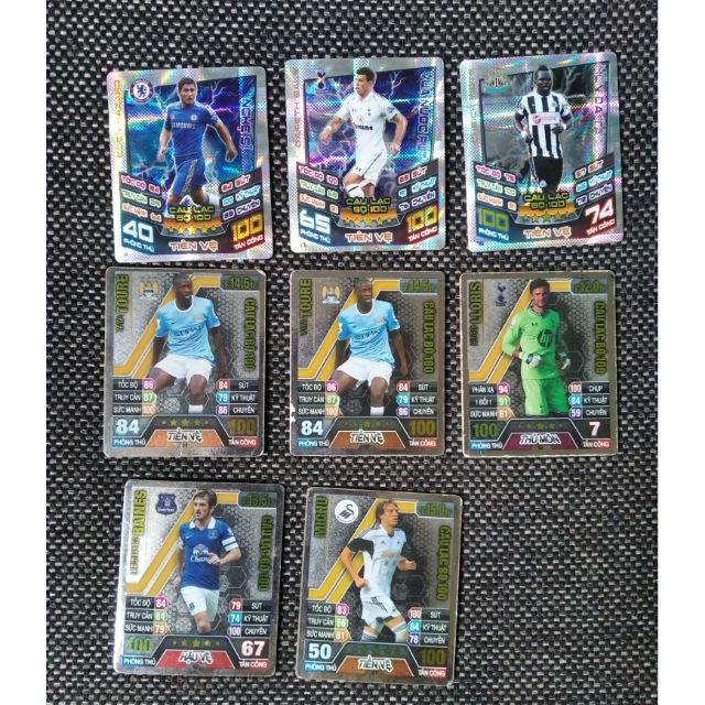 Thẻ poca match attax mùa 2013-2014, 2012-2013