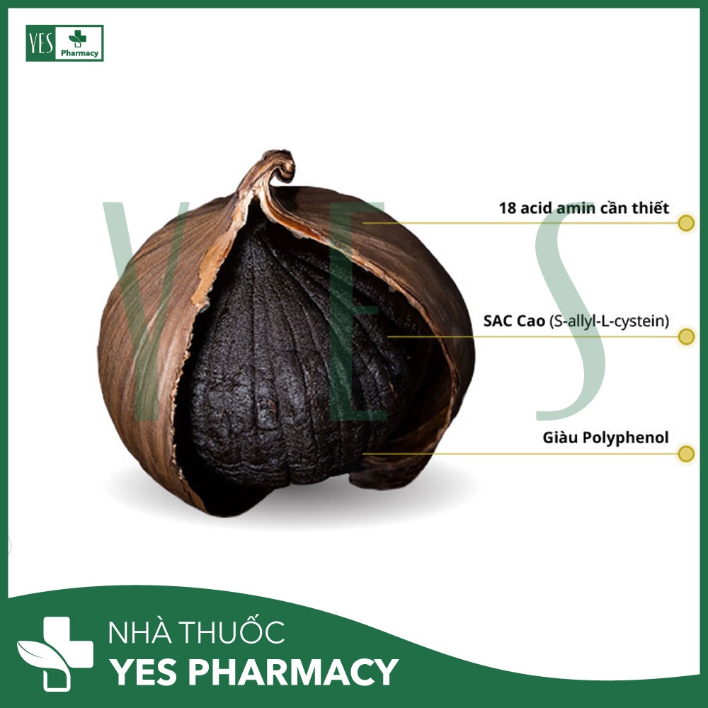 TPCN Tỏi Kim Cương - Tỏi đen cô đơn - Nhà thuốc Yes Pharmacy