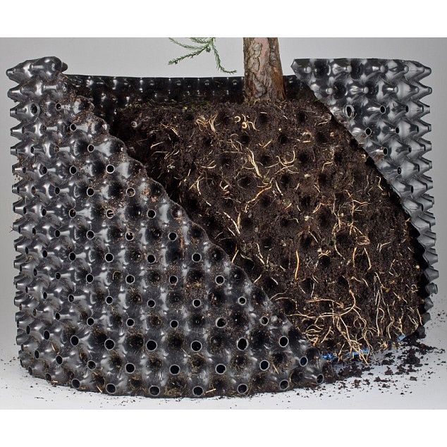 Sỉ cuộn Bầu ươm cây V6 thông minh cao 20cm, 30cm, 40cm, 50cm, 60cm, 70cm, 80cm