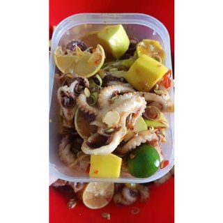 1kg bạch tuột baby(giao nhanh tp hcm)
