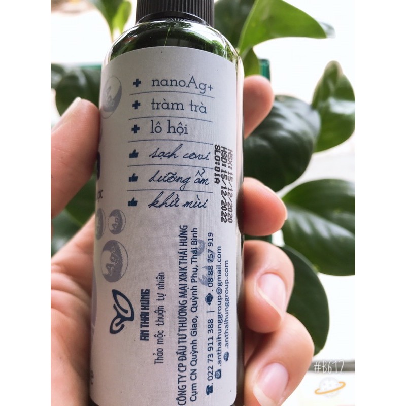 Nước rửa tay khô thảo dược dạng xịt Thái Hưng - diệt vi khuẩn 100ml | BigBuy360 - bigbuy360.vn