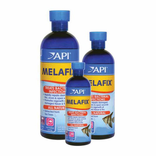 KHÁNG KHUẨN CAO CÁP CHO CÁ CẢNH API MELAFIX