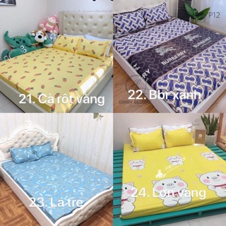 Bộ ga - gối cotton poly