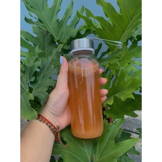 Trà trái cây giảm cân Kombucha Vị Táo lên men chai thuỷ tinh 250ml