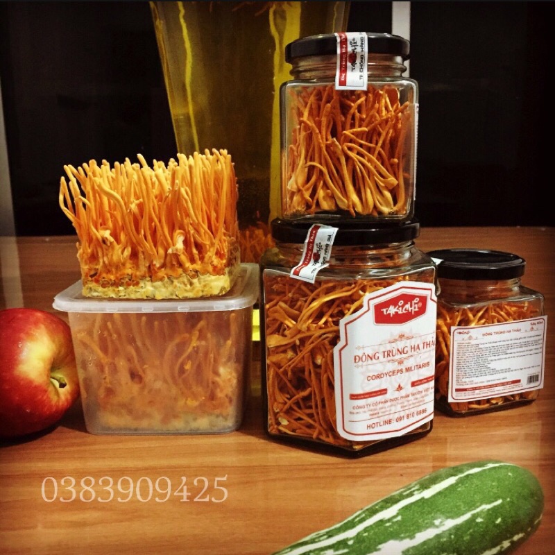 Đông Trùng Hạ Thảo Sấy Thăng Hoa Cao Cấp  Chính Hãng