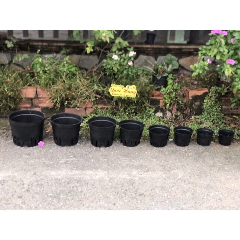 Chậu trồng lan Đen phi 12cm/14cm/16cm/18cm/21cm
