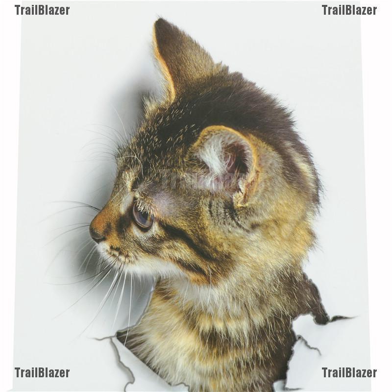 Sticker Dán Tường Hình Mèo Dễ Thương