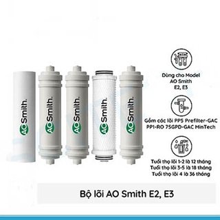 [CHÍNH HÃNG 100%] Lõi lọc nước cho máy AOSMITH E2,E3 [LẮP ĐẶT TPHCM]