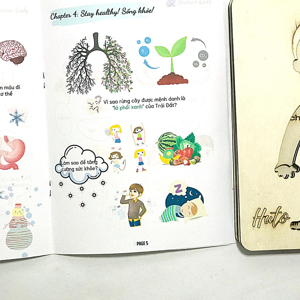 Đồ Chơi Tranh Ghép Cơ Thể Người 3D Bằng Gỗ