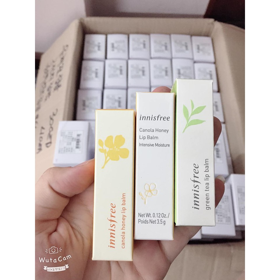 Son Dưỡng Môi Innisfree Canola Honey Lip Balm (bản mới 2019) | BigBuy360 - bigbuy360.vn