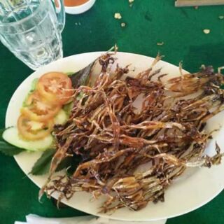 Khô nhái 500g