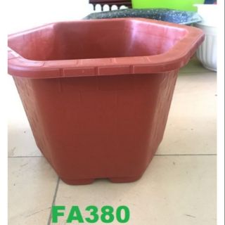 Combo 20 cái chậu fa380 cao 20cm rộng 30cm