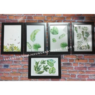 khung ảnh treo tường (20x30)
