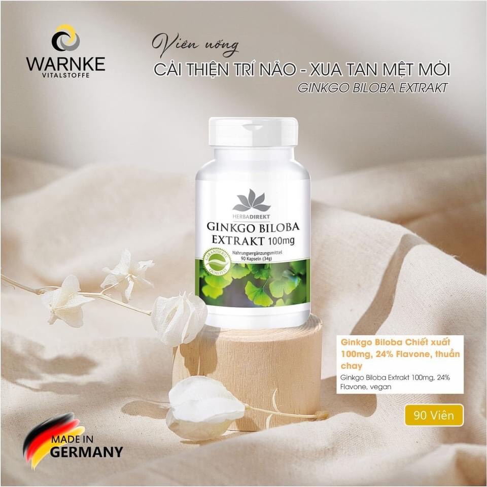 [Hỏa Tốc HCM] Hoạt huyết tăng cường lưu thông máu lên não - WARNKE GINKGO BILOBA EXTRAKT 100mg (Hộp 90 viên)