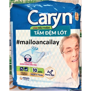 Tã dán Caryn người lớn Size M10-ML10