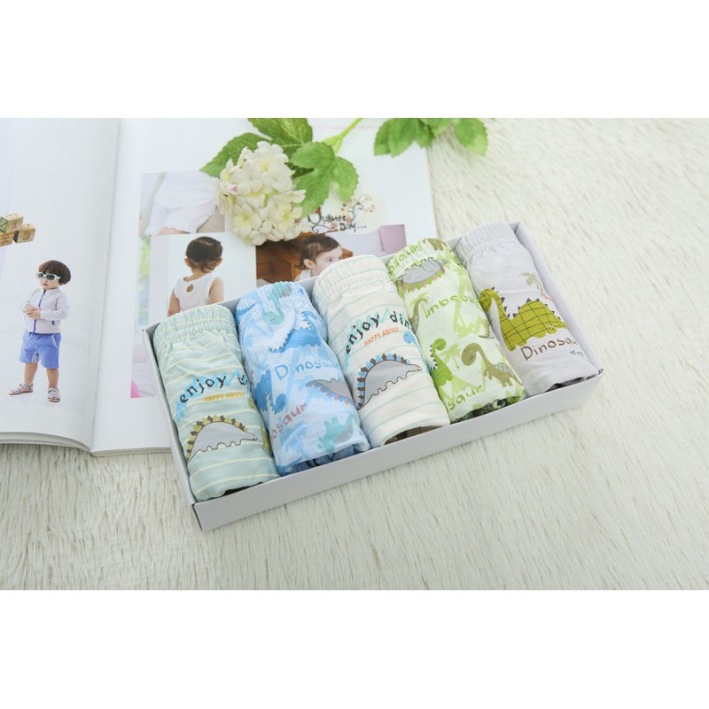 Quần lót Hàn Quốc cho bé Mr Kids Enjoy Dino set 5 chiếc