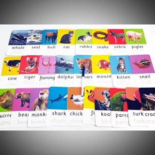 Bộ 3 hộp thẻ 3 chủ đề wipe-clean