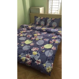 Chăn phao siêu nhẹ poly cao cấp