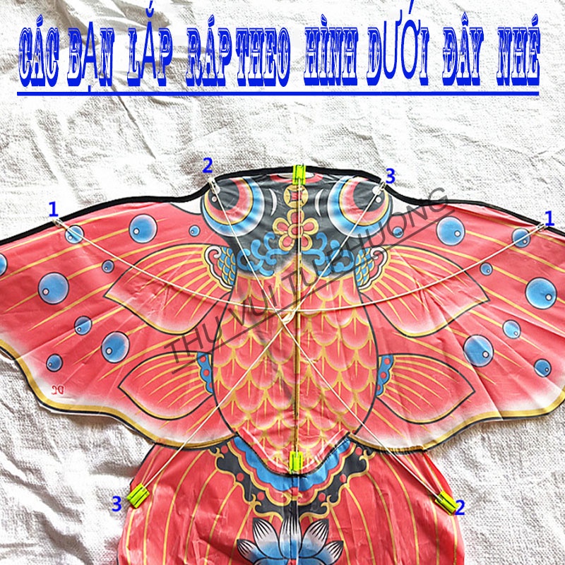 DIỀU - DIỀU CÁ VÀNG