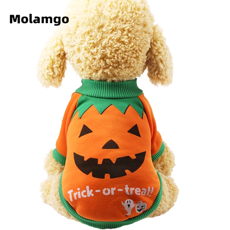 Áo hóa trang Halloween đáng yêu cho thú cưng