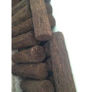 DỚN TRỤ TRỒNG LAN NHẬP KHẨU.