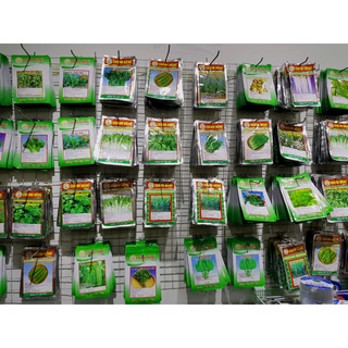 Hạt giống rau củ quả trồng tại nhà, dưa chuột,rau cải, rau muống, rau dền, rau mồng tơi, bí ngòi, mướp, đậu đũa, cà chua