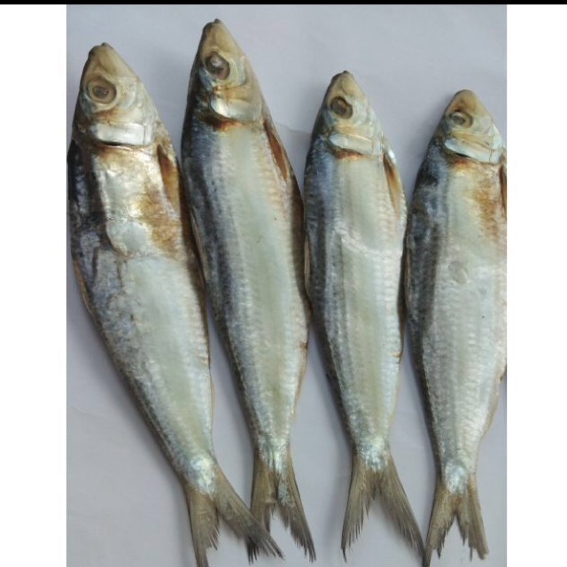 1kg cá trích khô