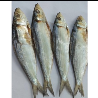 1kg cá trích khô
