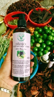 DẦU GỘI BỒ KẾT THẢO DƯỢC CÔ ĐẶC