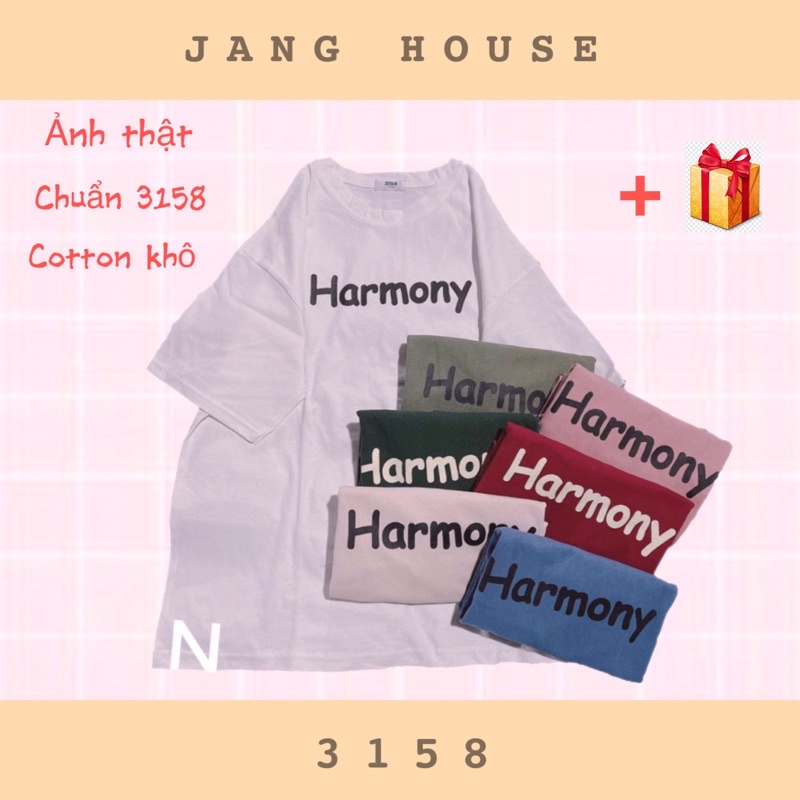 Áo Phông Tay Lỡ Nhiều Mẫu 3158 Cotton Khô, Thấm Hút Mồi Hôi, Chất Mát