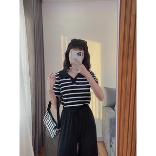 Áo len polo kẻ sọc