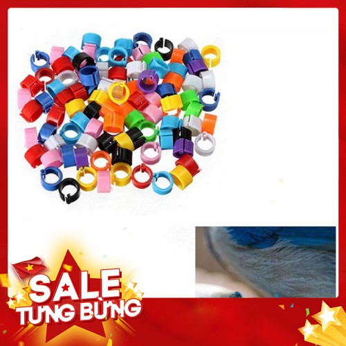 SET 100 VÒNG ĐEO CHÂN CHO CHIM-VÒNG ĐEO CHÂN CÓ ĐÁNH SỐ-PHỤ KIỆN CHO CHIM GIÁ RẺ