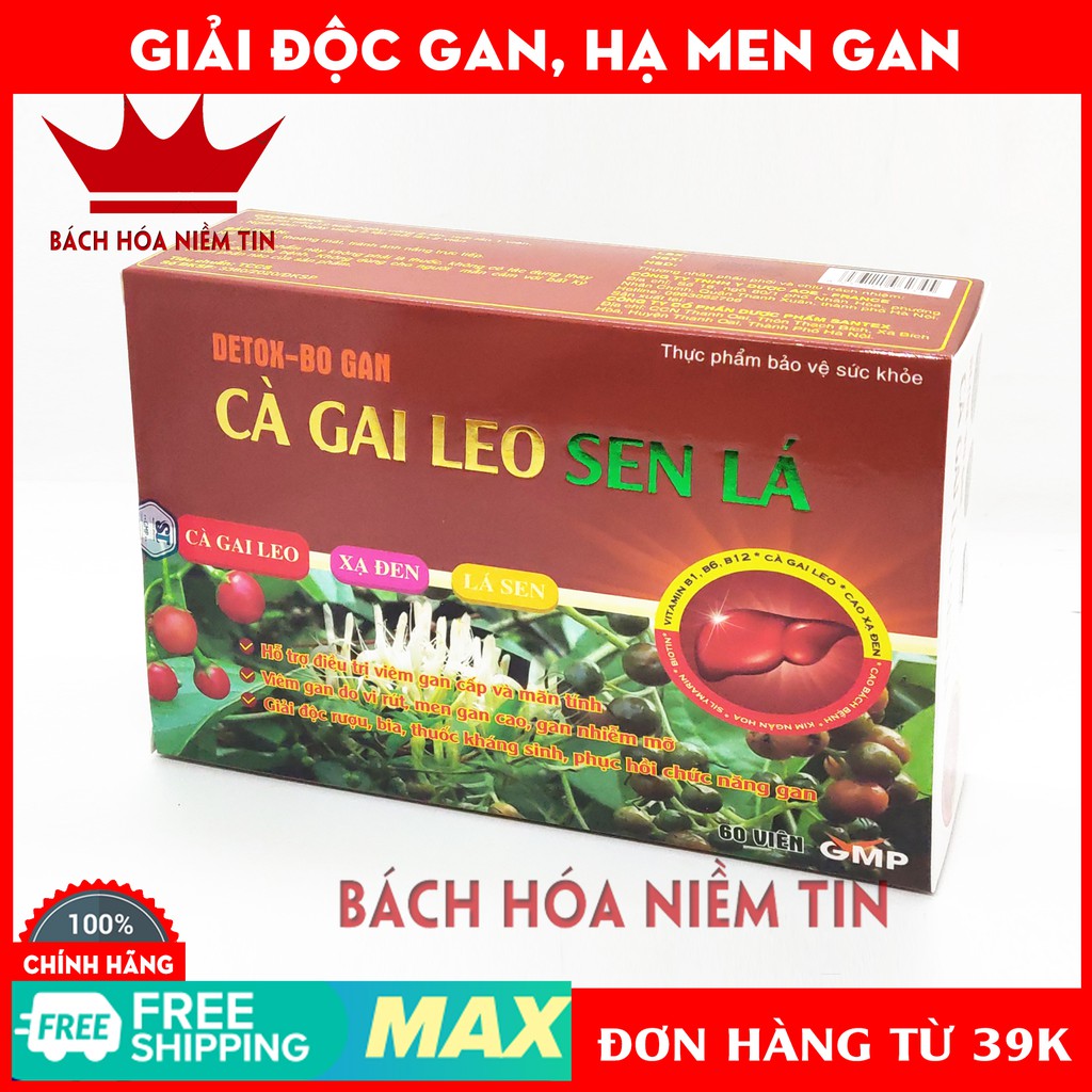 Viên uống bổ gan Cà Gai Leo Sen lá - Hộp vỉ 60 viên - giải độc gan, giảm viêm gan cấp và mãn tính