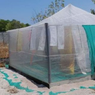 Lồng nuôi cào cào 5x4x2