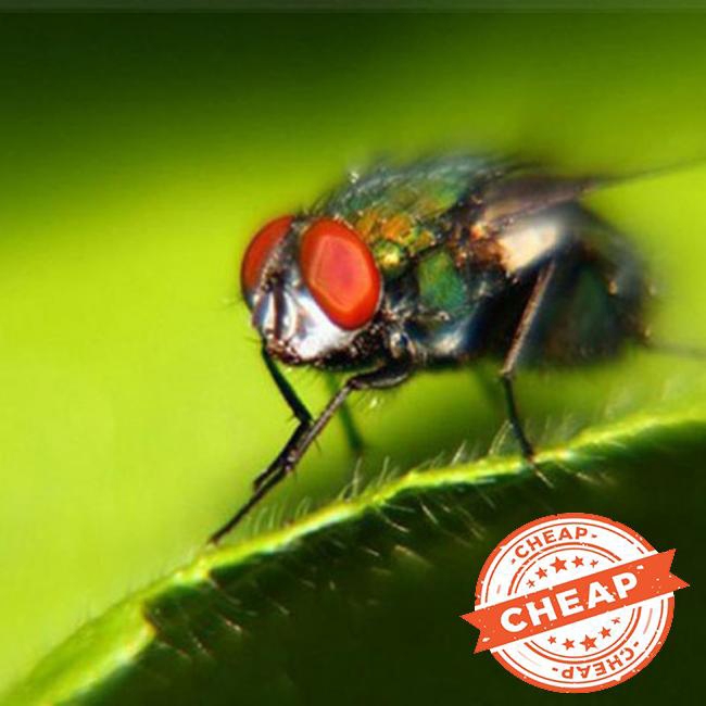 Metal Mount Lens Adapter Auto Focus AF Macro Extension Tube Ring for Canon EOS EF-S Lens 750 | BigBuy360 - bigbuy360.vn