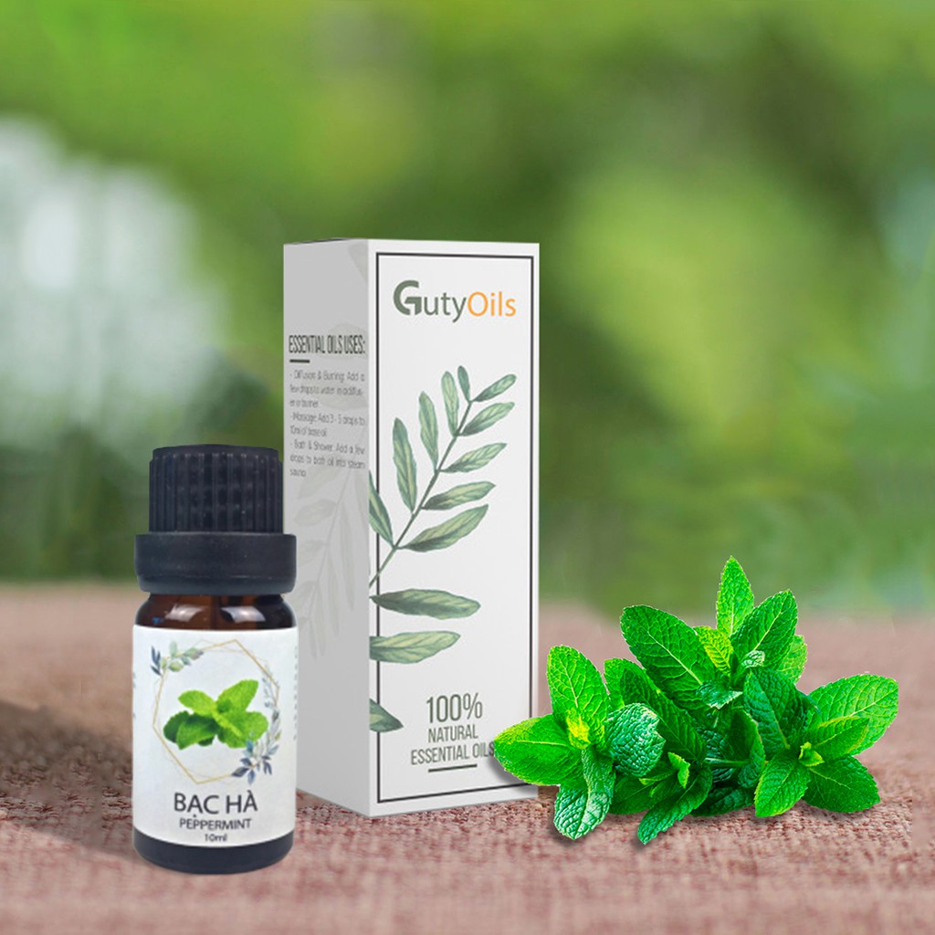 Lọ 10ml tinh dầu bạc hà nguyên chất Guty Oils đuổi chuột, đuổi muỗi, đuổi côn trùng, giảm căng tăng, chống say xe