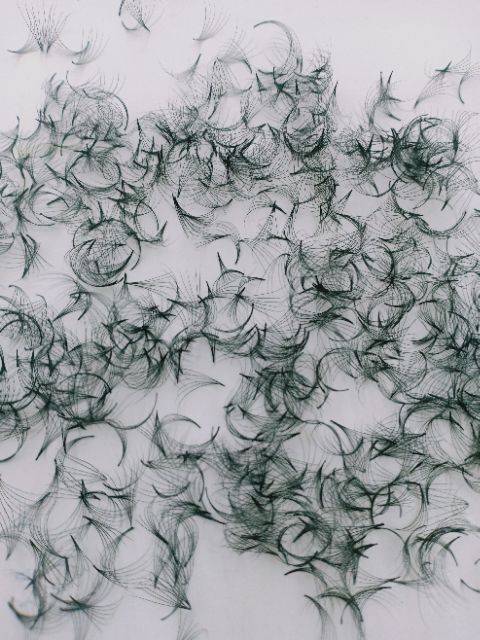 Mi fan 6d - hộp 1000 fan