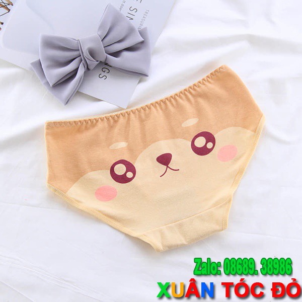 SỈ ZALO RẺ HƠN NHIỀU_ Quần Lót Mặt Loài Vật 5 Kiểu Siêu Dễ Thương 5070 | BigBuy360 - bigbuy360.vn