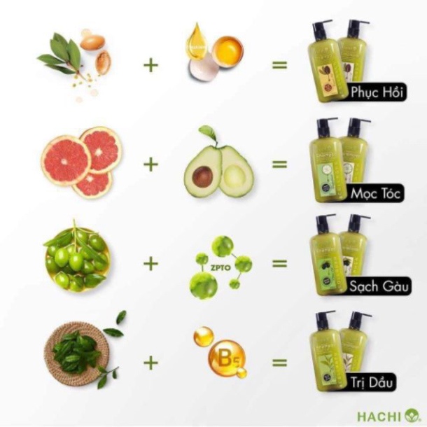 Dầu Xả Hachi chiết xuất trà xanh dành cho tóc dầu GREENTEA [Chính Hãng] 350ml, 500ml, 800ml - Dầu gội xả trà xanh Hachi