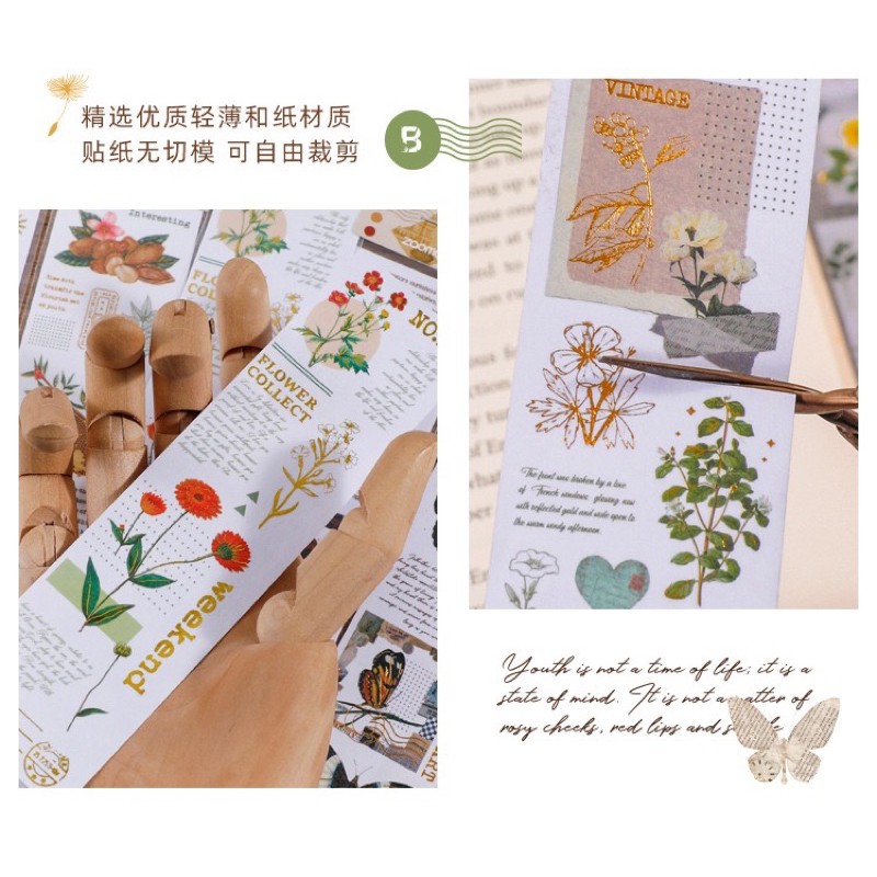 stickers dải retro vintage mushroom thực vật plants ánh kim chuyên trang trí bullet journal planner 4 mẫu siêu đẹp rẻ