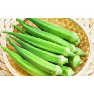 Hạt giống đậu bắp - 10g