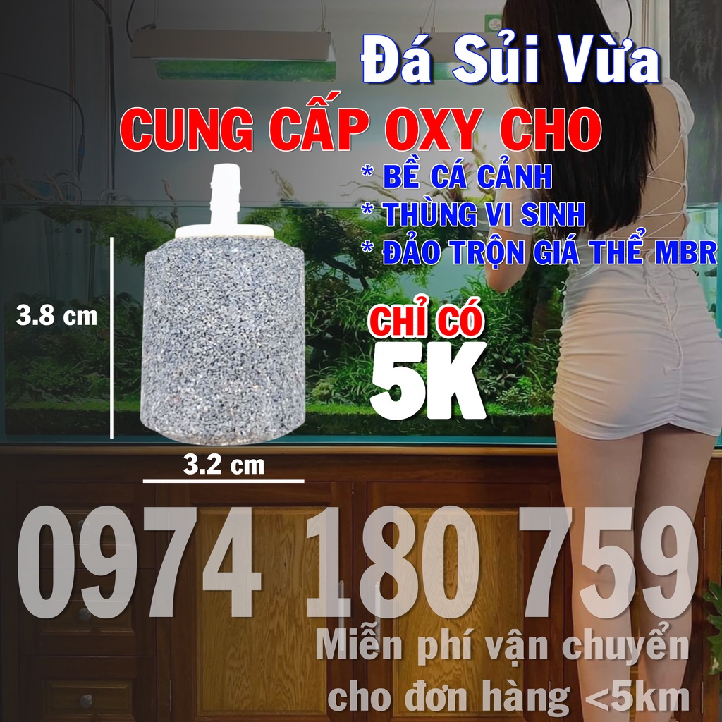 Đá Sủi Oxy Dành Cho Hồ Cá Siêu Mịn